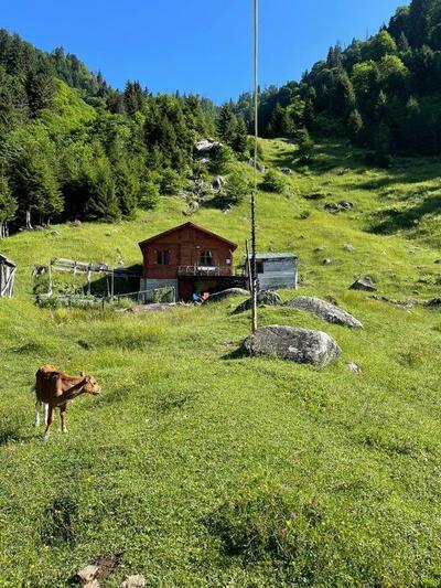 Ayrıkvadi Dağ Evi