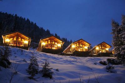 Ayder Çise Dağ Evleri