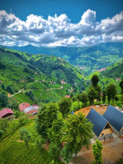 Doğal Life Suit Bungalow