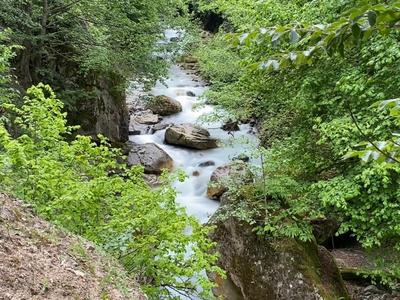 Senoz Dağ Evi & Bungalow