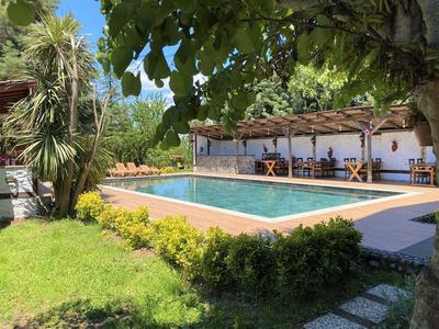 Rif Sapanca (Adult +12)