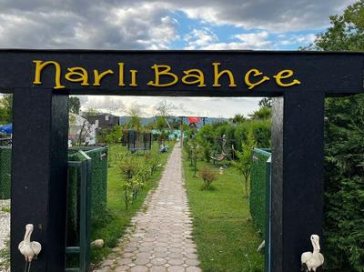 Sapanca Narlı Bahçe Bungalov