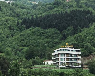 Voice Otel