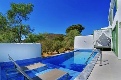 Villa Mulberry Collection Chives