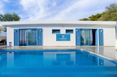 Villa Mulberry Collection Tarragon 