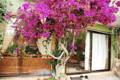 Merhaba Patara Boutique Hotel