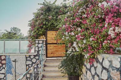 Villa Nordic Dream Butik Otel