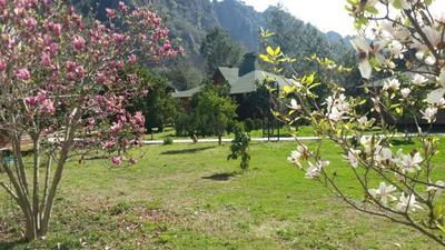 Arcadia Hotel & Villas