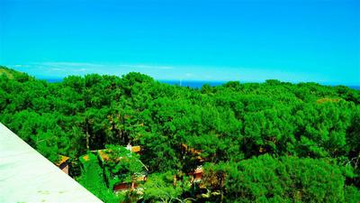 Festival Nature Hotel