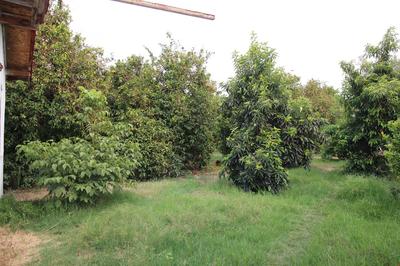 Gold Altınkaya Camping Apart