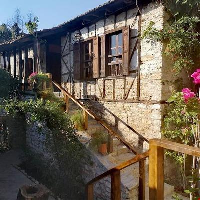 Demeter Rose Stonehouse Pansion