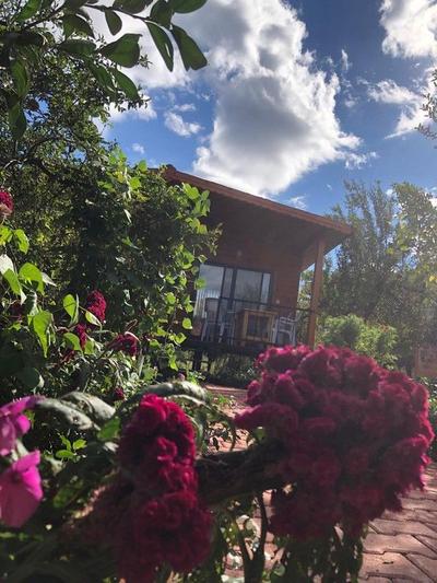 Rahil Pansiyon Apart