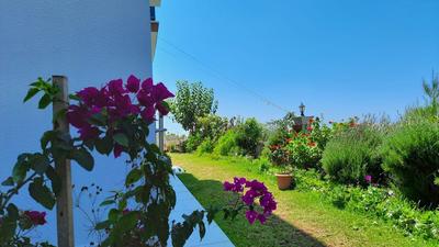 Begonvilla Homes Karaöz