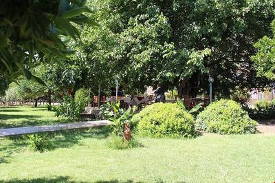 Nar Çiçeği Hotel Adrasan