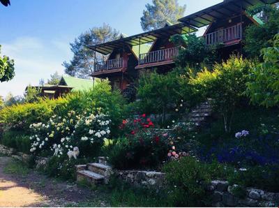 Olympos Otantik Pansiyon