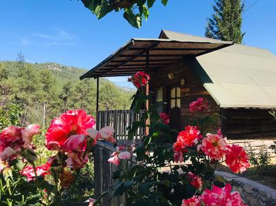 Olympos Otantik Pansiyon