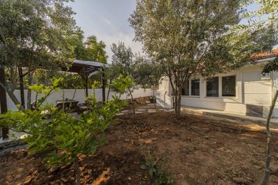 Penjing | Muratpaşa