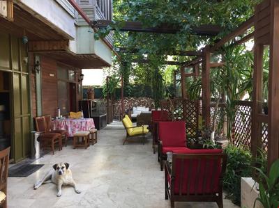 Clup Lara Konakları