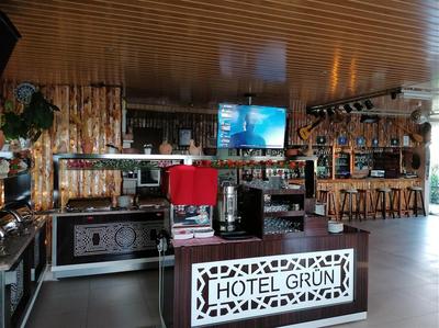 Hotel Grün
