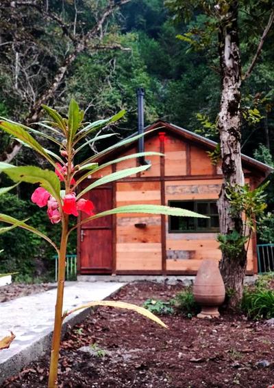 Kameni Tatil Koyurestoran