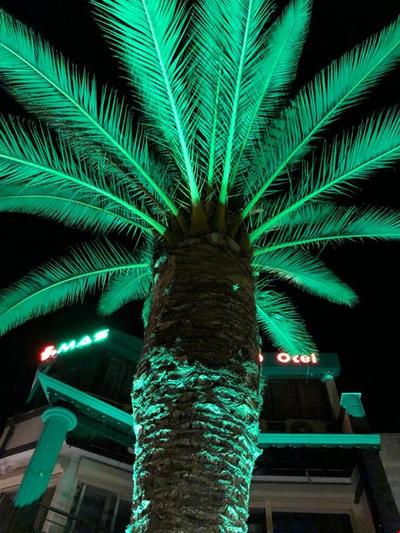 Akçay Mas Palmiye Otel