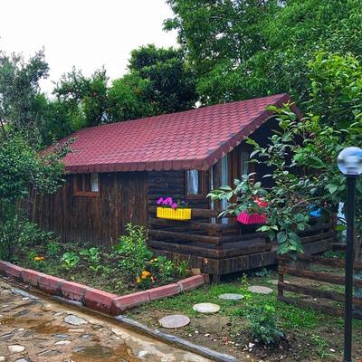Zeytin Dagi Bungalow