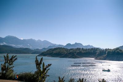 Dolphin Boutique Hotel - Restaurant