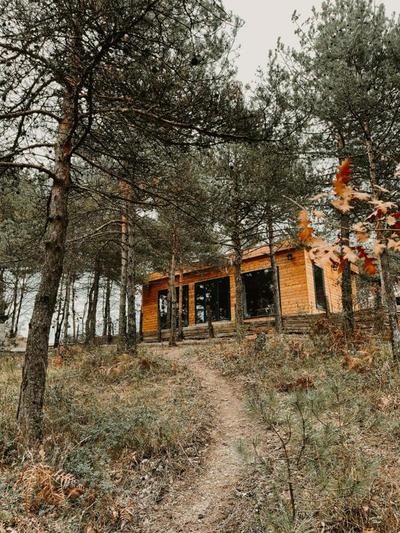 Red Pine Guest House