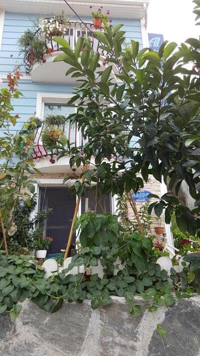 Akide Butik Pansiyon