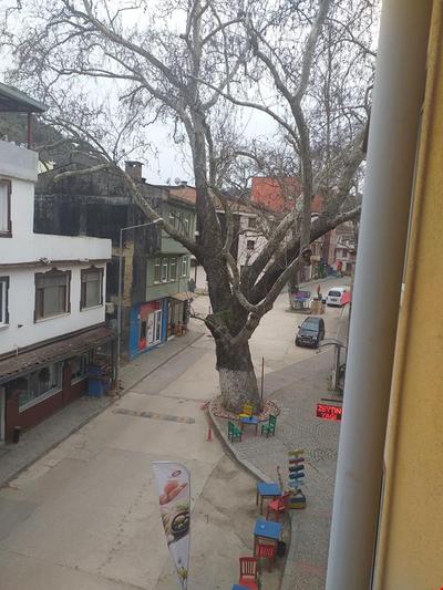 Tirilyeevi Butik Otel