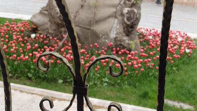 Arakonak Termal Hotel