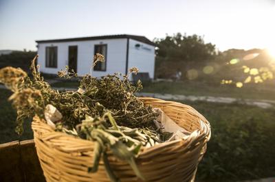 İmroz Kardamos Otel