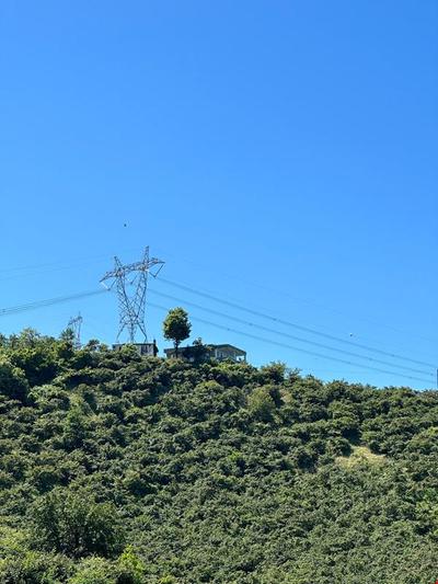 Giresun  Tirebolu Kaplan House