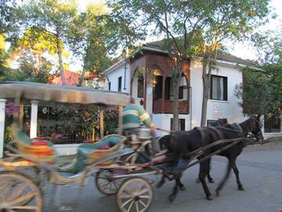 Turyolu Cafe Pansiyon