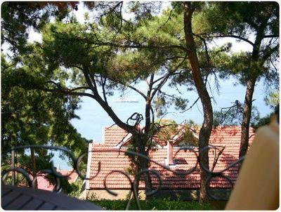 Köşk Orman Butik Hotel