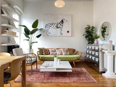 Dalmatian | Beyoğlu