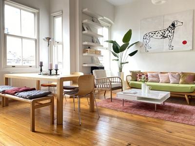 Dalmatian | Beyoğlu