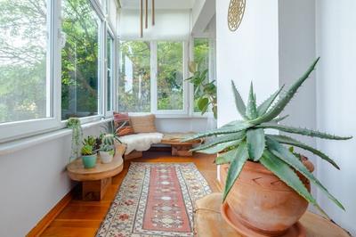 Shahmaran | Sarıyer