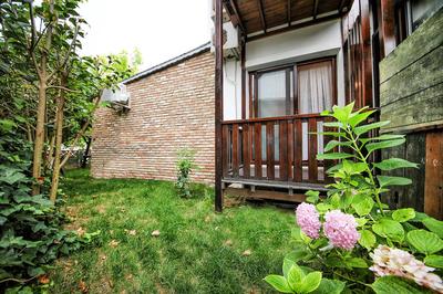 Ağva Deniz Yıldızı