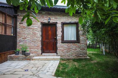 Ağva Deniz Yıldızı