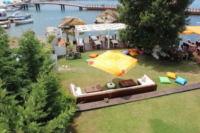 Lotus Restaurant & Home