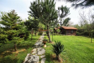 Tartaruga Boutique Hotel & Bungalows