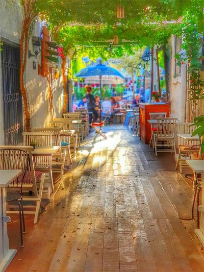 Afet Hanım Konağı