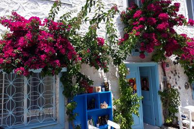 Alaçatı Frida Butik Otel