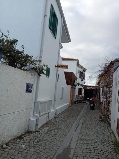 Felicitta Stay & Joy