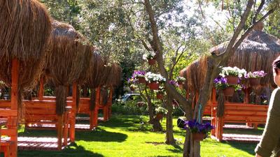 Sirin Baba Koyu Konagi