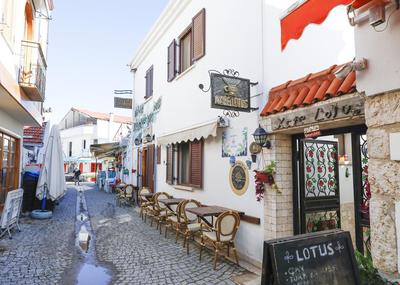 Villa Lotus Konuk Evi