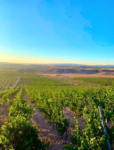 Sunolus Vineyard Hotel