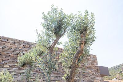 Bodrum Yalıçiftlik'te Denize Sıfır Özel Plajlı Tesis İçerisinde Villa EVT1937