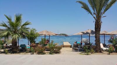 The LifeCo Wellbeing Merkezi